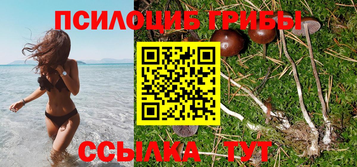 Галлюциногенные грибы MAGIC MUSHROOMS  Вход с VPN  наркошоп  Владикавказ  Псилоцибиновые грибы Magic Shrooms 