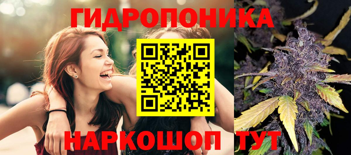 Шишки марихуана THC 21% Владикавказ